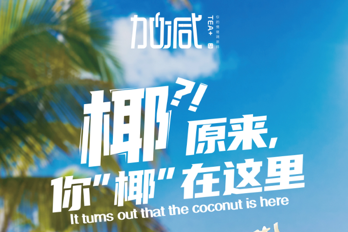 EVO视讯椰子系列新品火爆上市