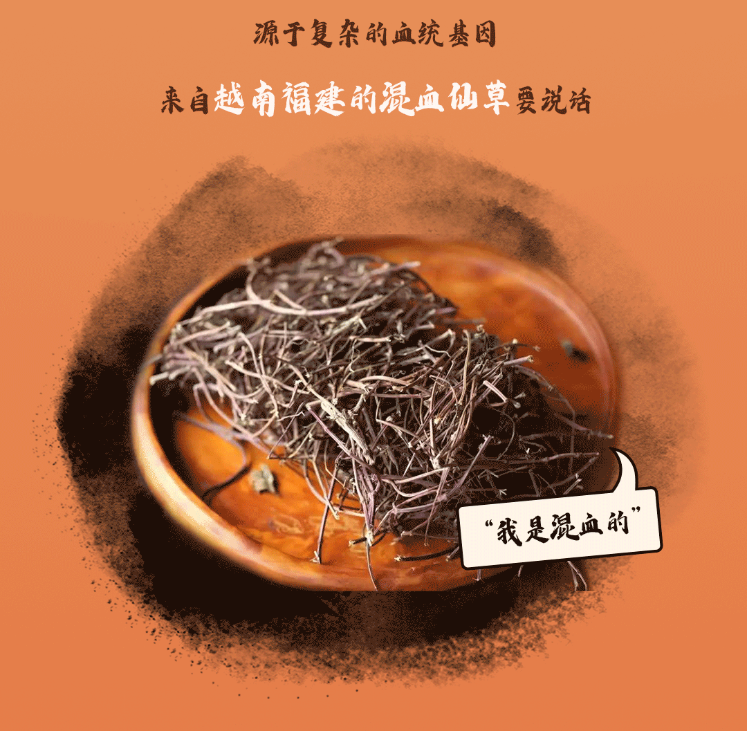 EVO视讯推文2_03.gif